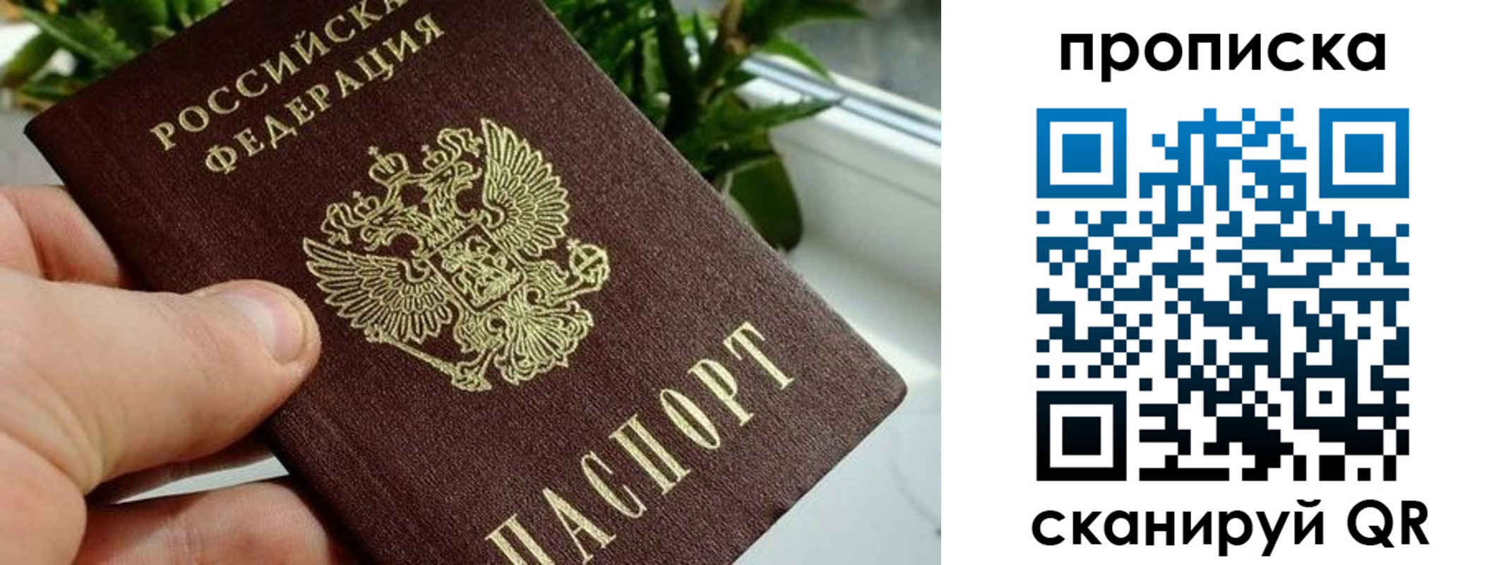 временная прописка в Коврове